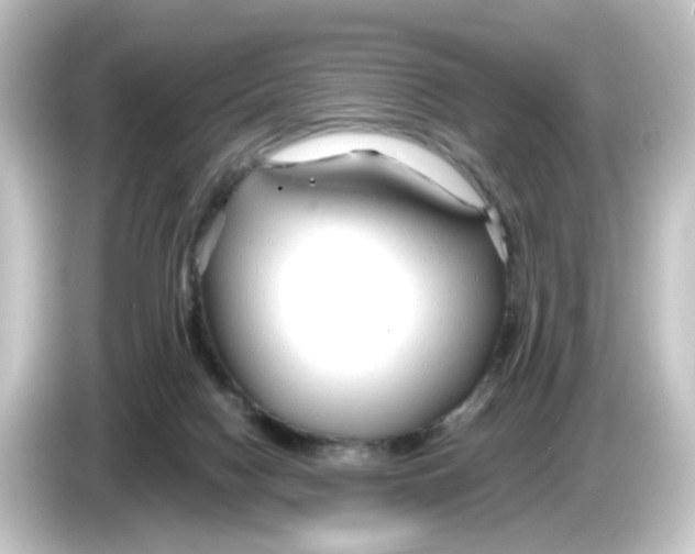 X0000084550074200703161654