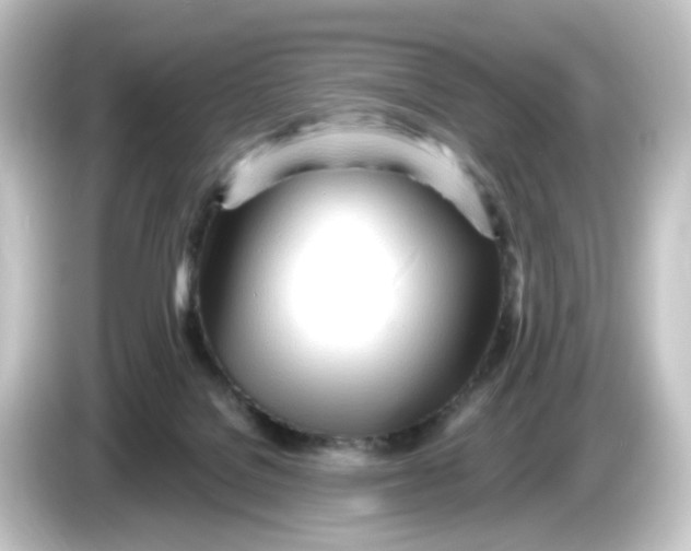 X0000084550076200703161654