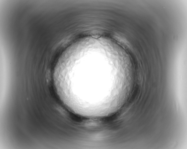 X0000084550077200703161654