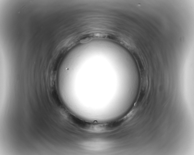 X0000084550078200703161654