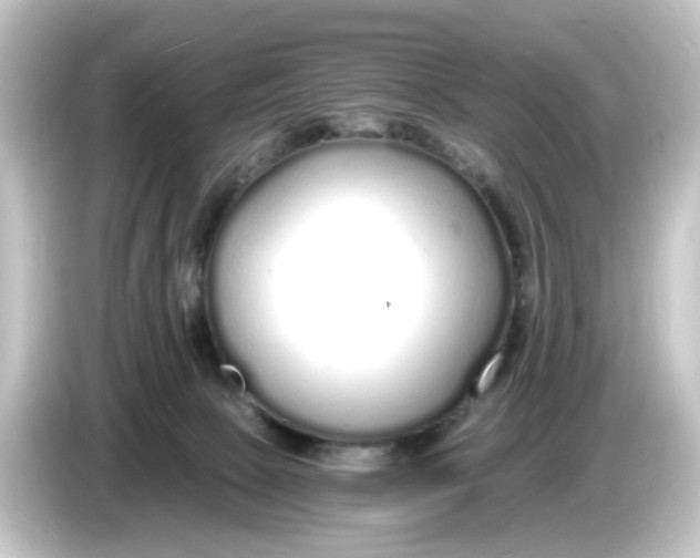 X0000084550081200703161654