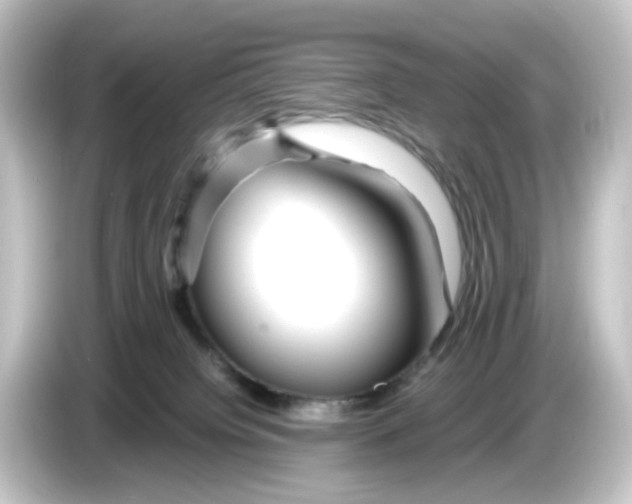 X0000084550084200703161654