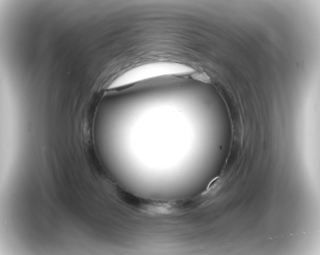 X0000084550086200703161654