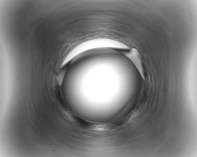 X0000084550088200703161654