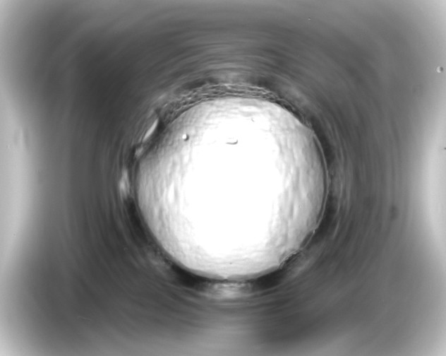 X0000084550089200703161654