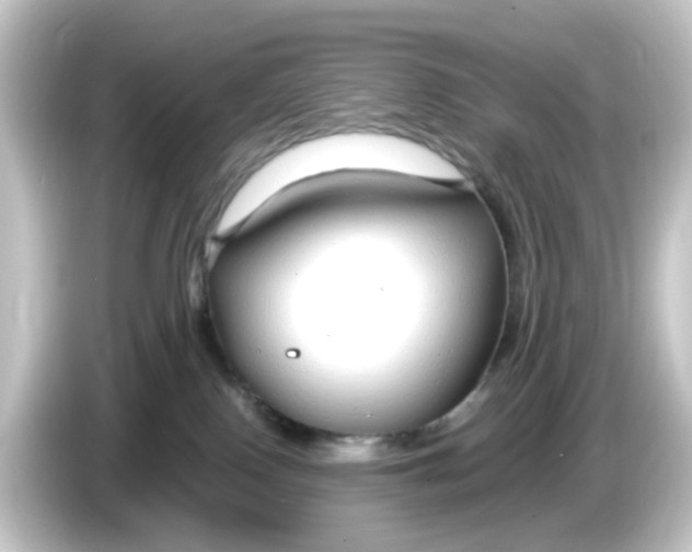 X0000084550090200703161654