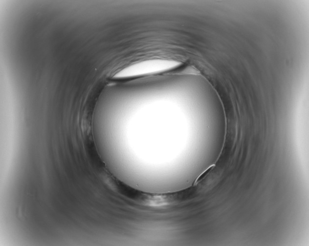 X0000084550091200703161654