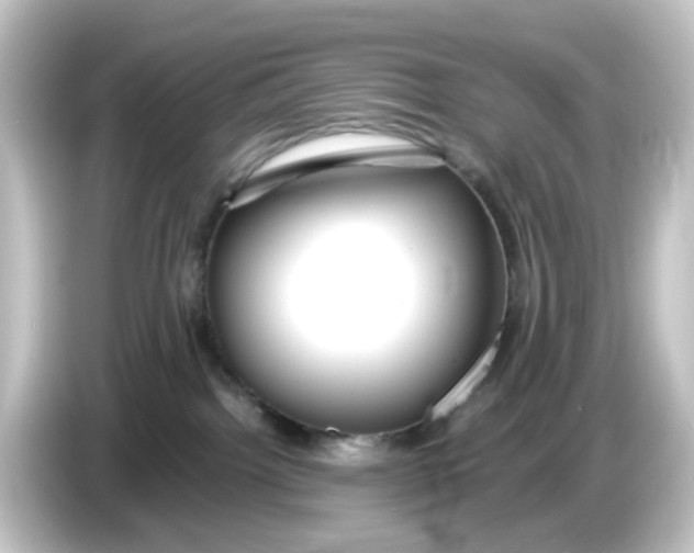 X0000084550092200703161654