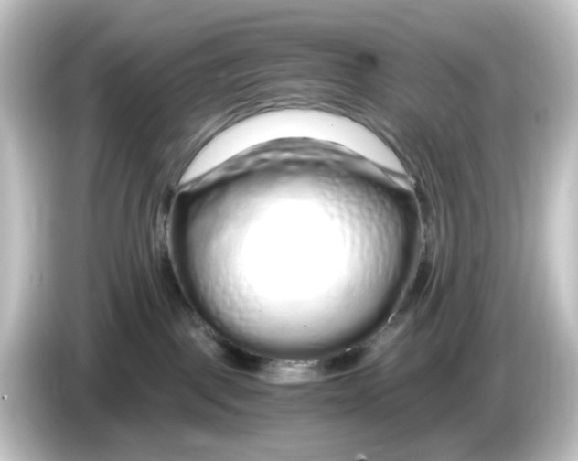 X0000084550093200703161654