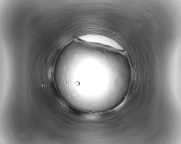 X0000084550094200703161654