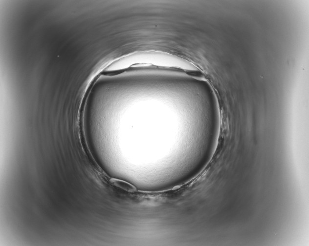 X0000084550099200703161653