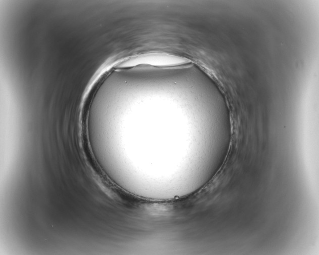 X0000084550102200703161653