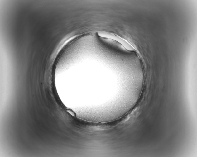 X0000084550103200703161653