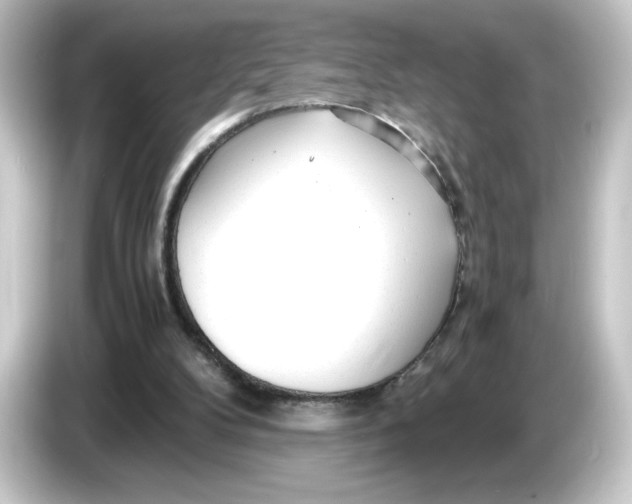 X0000084550104200703161653