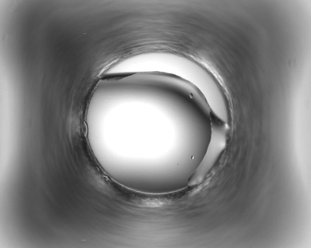 X0000084550105200703161653