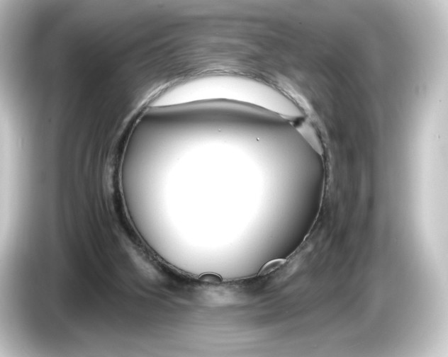 X0000084550106200703161653