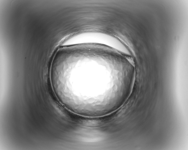 X0000084550107200703161653