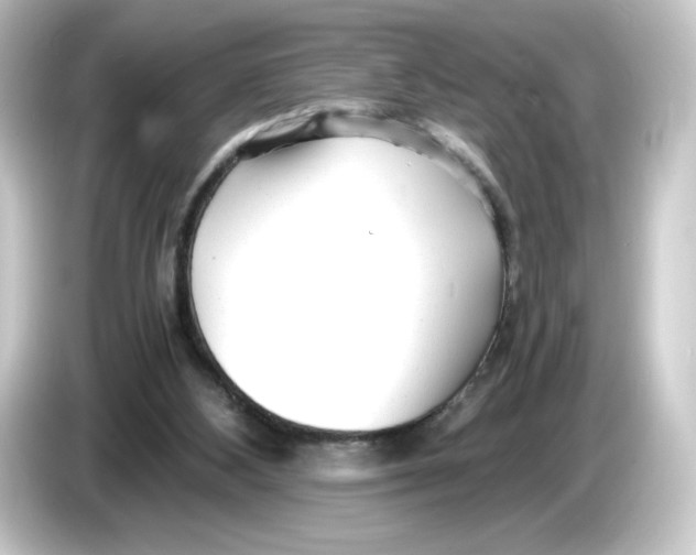 X0000084550108200703161653