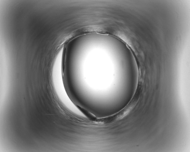 X0000084550109200703161653