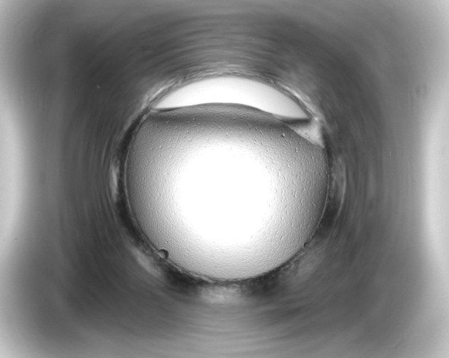 X0000084550110200703161653