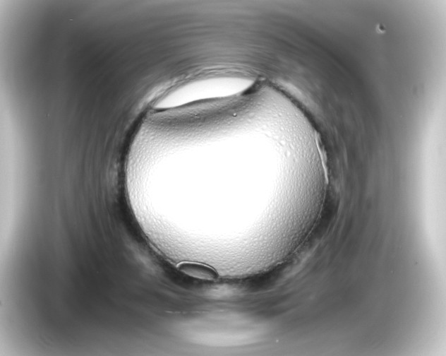 X0000084550111200703161653