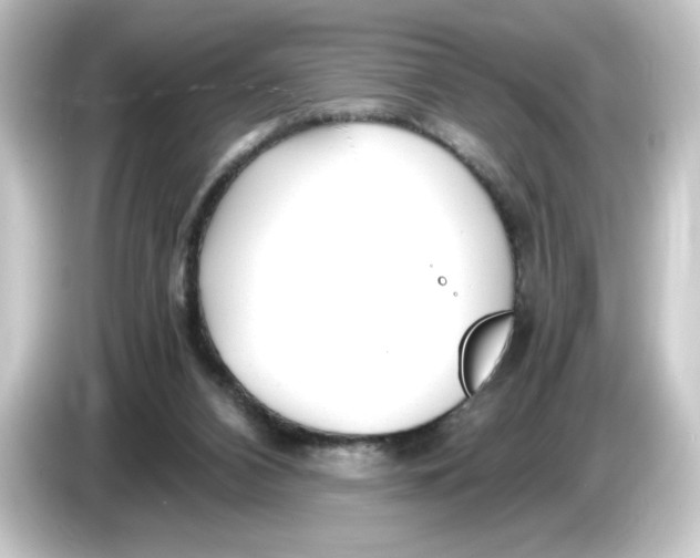 X0000084550112200703161653