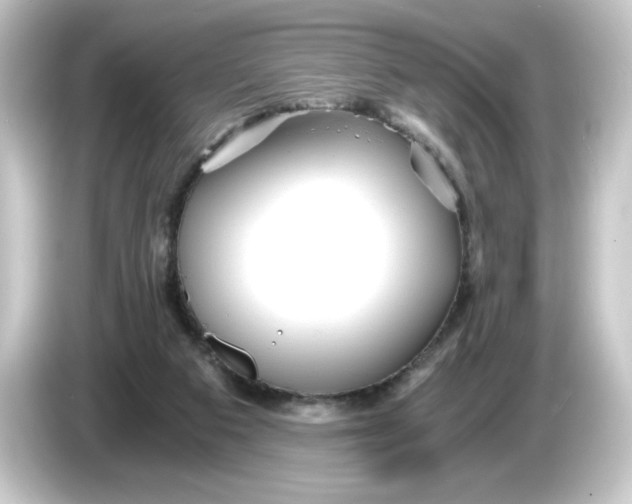 X0000084550113200703161653