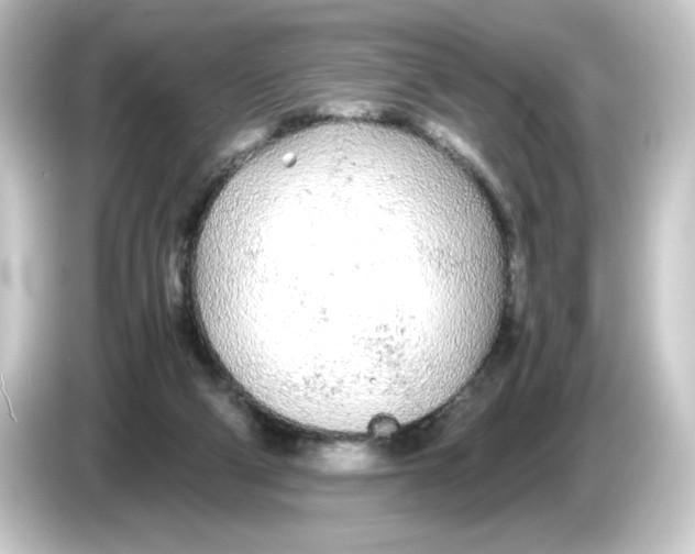 X0000084550114200703161653