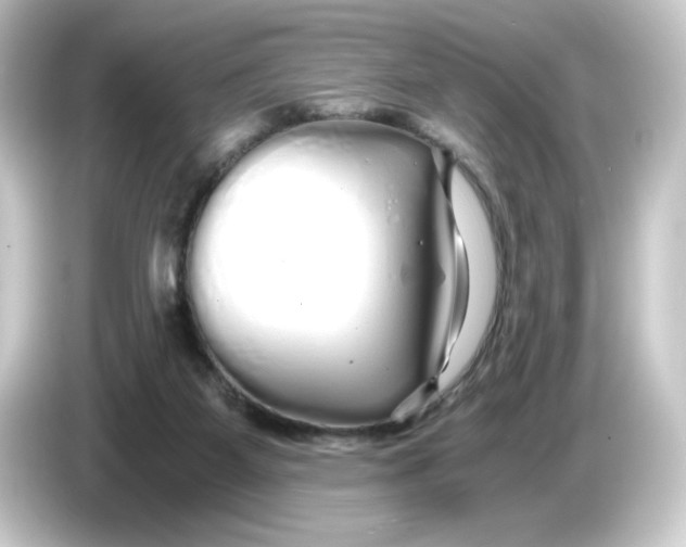 X0000084550115200703161653