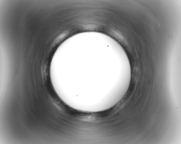 X0000084550116200703161653