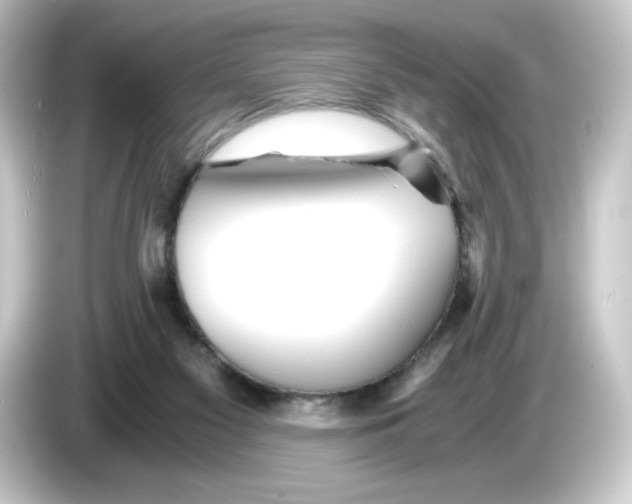 X0000084550117200703161653