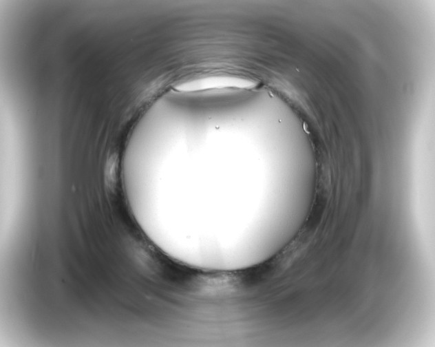 X0000084550118200703161653