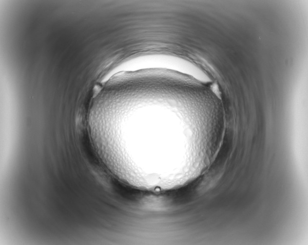 X0000084550119200703161653