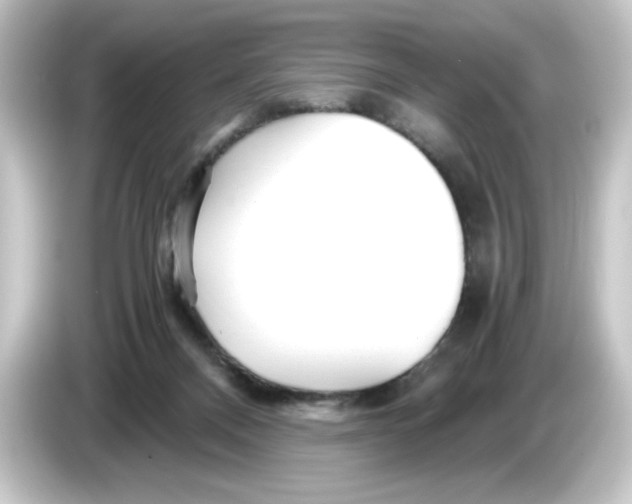 X0000084550120200703161653