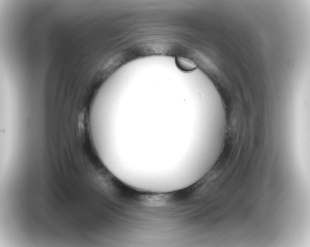 X0000084550122200703161653