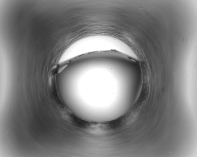 X0000084550125200703161653