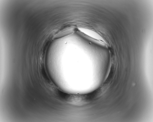 X0000084550127200703161653