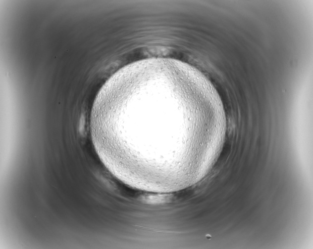 X0000084550134200703161653