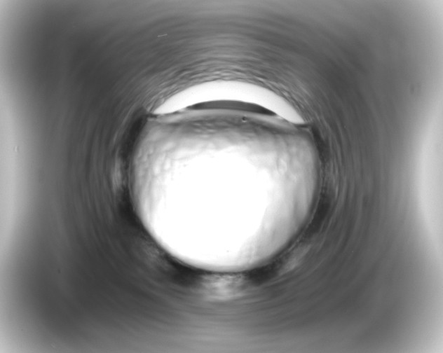 X0000084550135200703161653