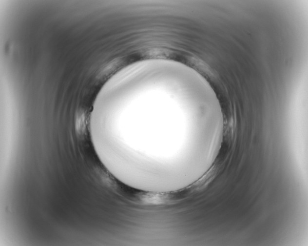 X0000084550142200703161653