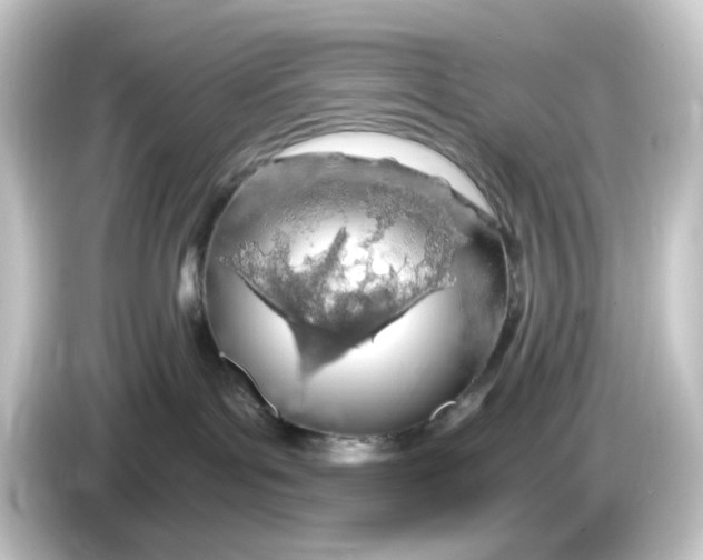 X0000084550143200703161653