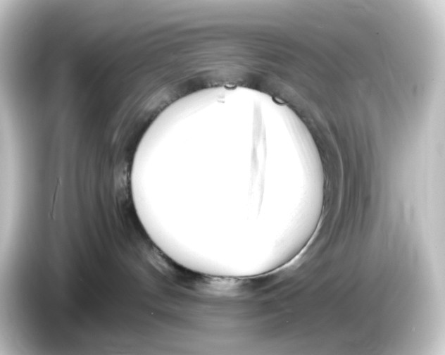 X0000084550144200703161653