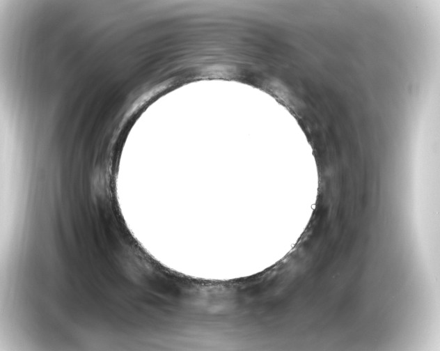 X0000084550146200703161652