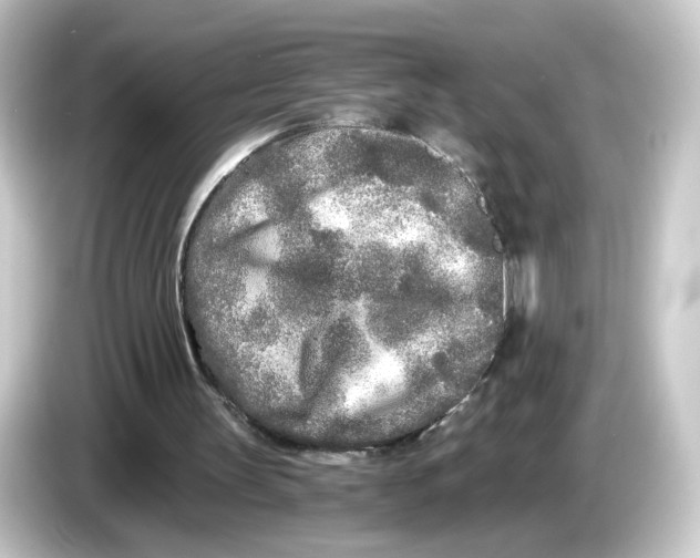 X0000084550147200703161652