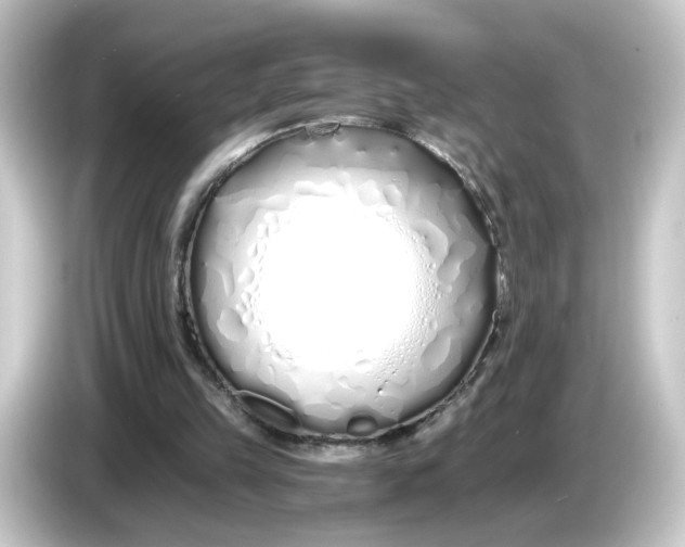 X0000084550149200703161652