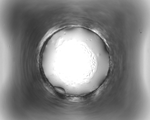 X0000084550151200703161652