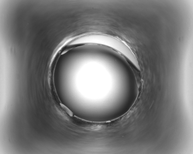 X0000084550152200703161652