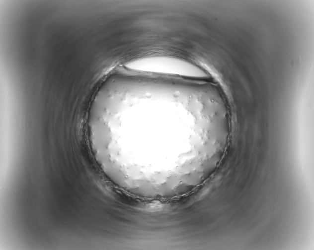 X0000084550153200703161652