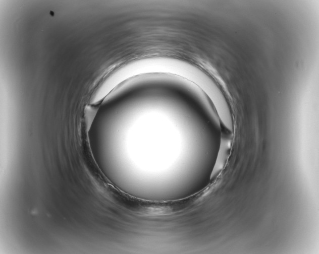 X0000084550154200703161652