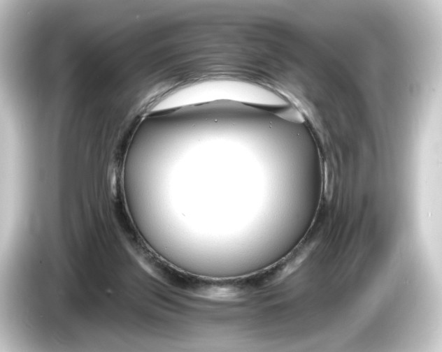 X0000084550157200703161653